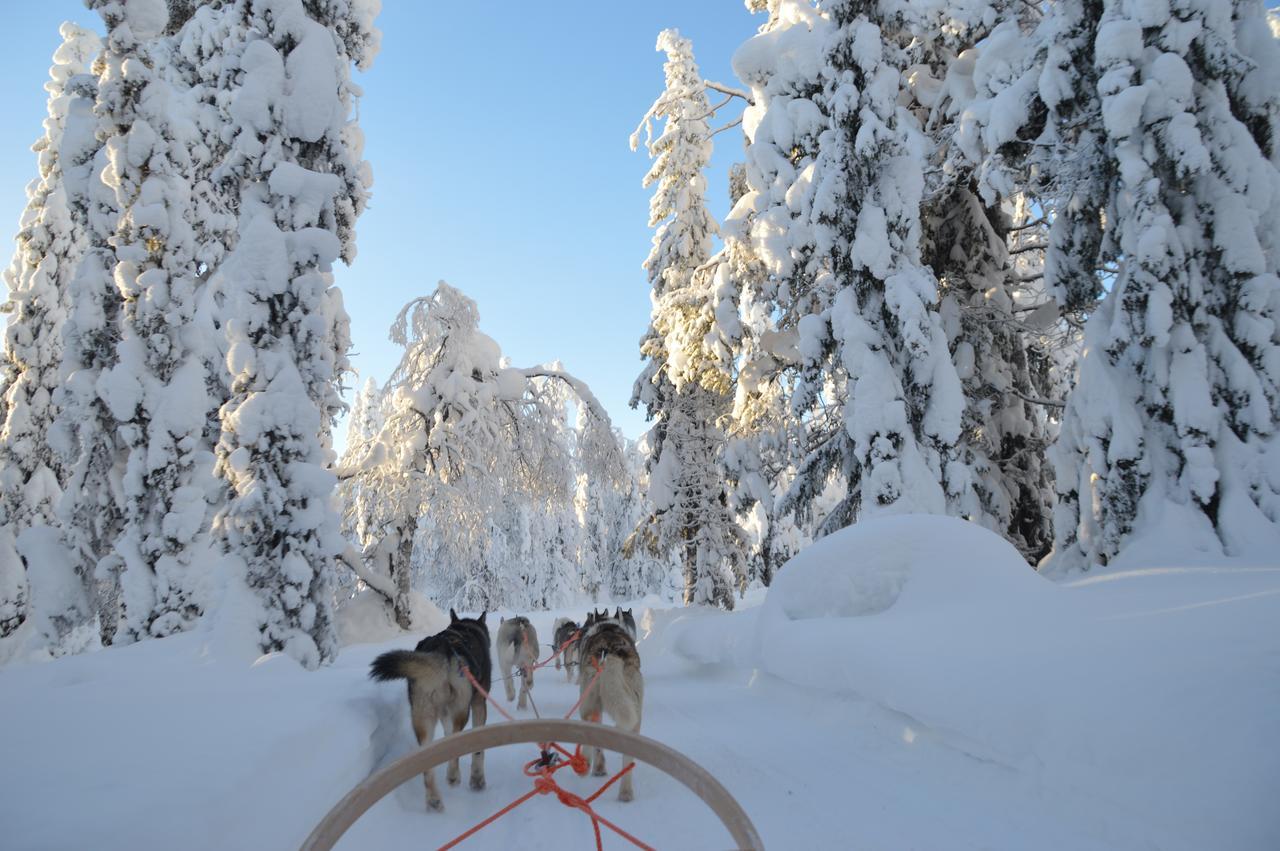 Hotel Arctic Zone Ruka Zewnętrze zdjęcie